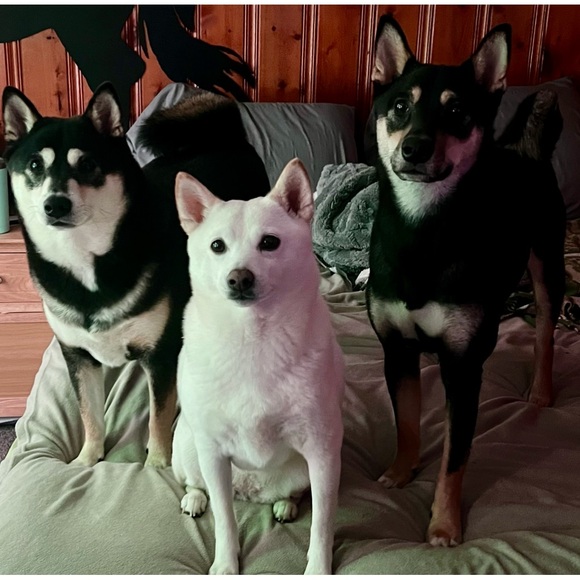 Meet your Posher, Stephanie - Picture 1 of 1